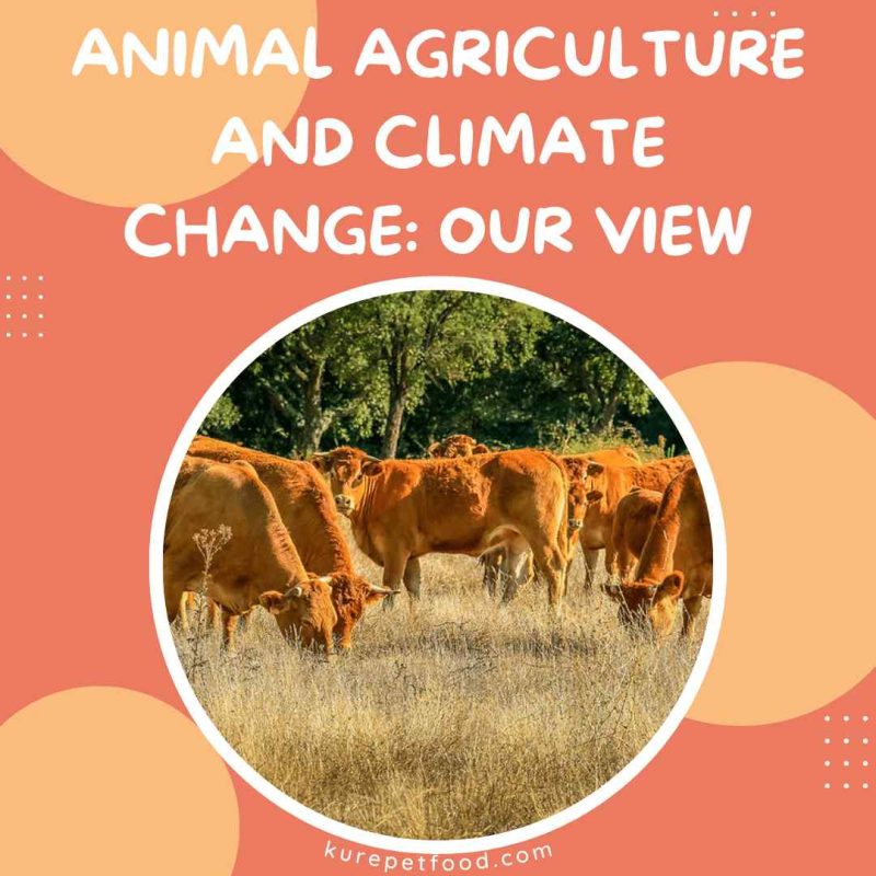 Animal agriculture and climate change: our view