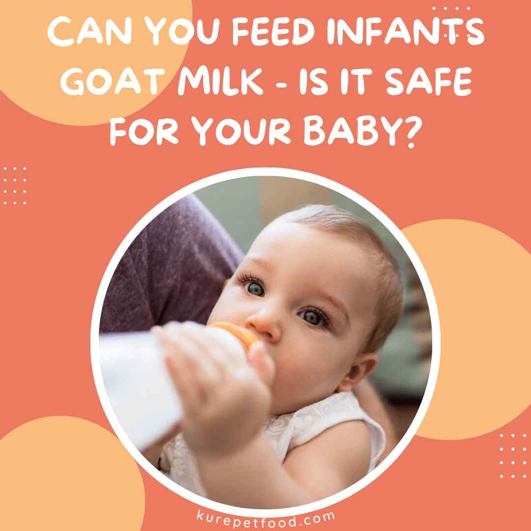 Can You Feed Infants Goat Milk - Is It Safe For Your Baby?