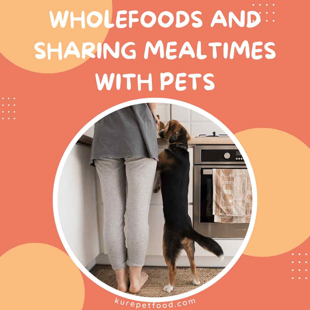 Wholefoods and sharing mealtimes with pets